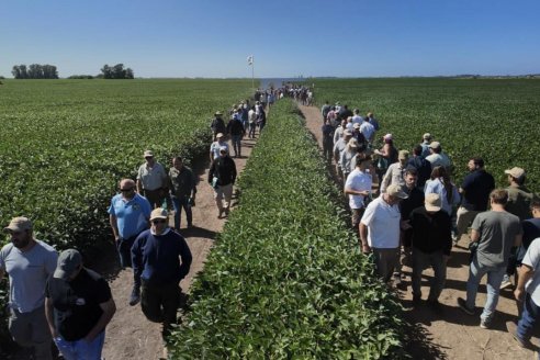 Especulan con que El Niño le sume toneladas al rinde agrícola de la región