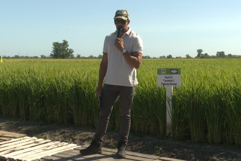 Postales del Día de Campo de Arroz de Fundación Proarroz - San Salvador, Entre Ríos