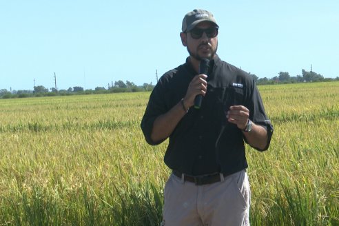 Postales del Día de Campo de Arroz de Fundación Proarroz - San Salvador, Entre Ríos