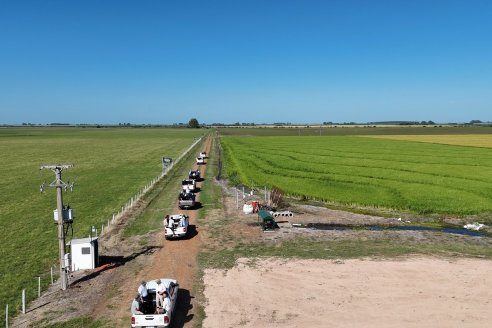 Postales del Día de Campo de Arroz de Fundación Proarroz - San Salvador, Entre Ríos