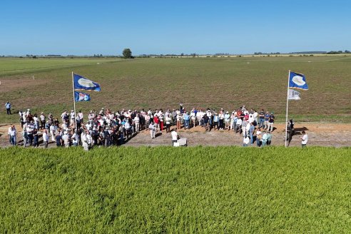 Postales del Día de Campo de Arroz de Fundación Proarroz - San Salvador, Entre Ríos