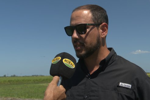 Postales del Día de Campo de Arroz de Fundación Proarroz - San Salvador, Entre Ríos