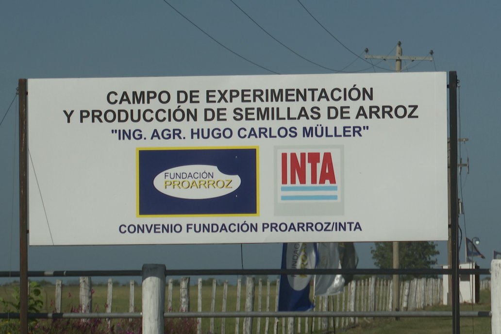 Postales del Día de Campo de Arroz de Fundación Proarroz - San Salvador, Entre Ríos