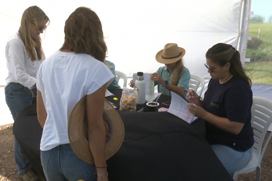 Postales del Día de Campo de Arroz de Fundación Proarroz - San Salvador, Entre Ríos