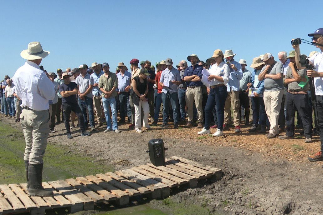 Postales del Día de Campo de Arroz de Fundación Proarroz - San Salvador, Entre Ríos