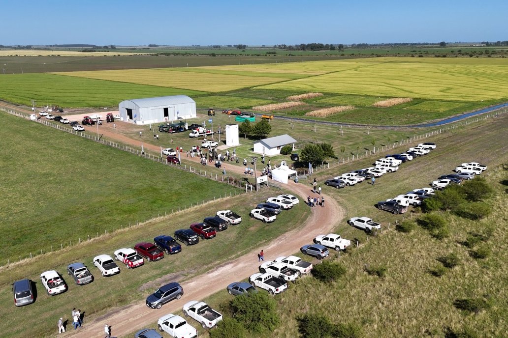 Postales del Día de Campo de Arroz de Fundación Proarroz - San Salvador, Entre Ríos