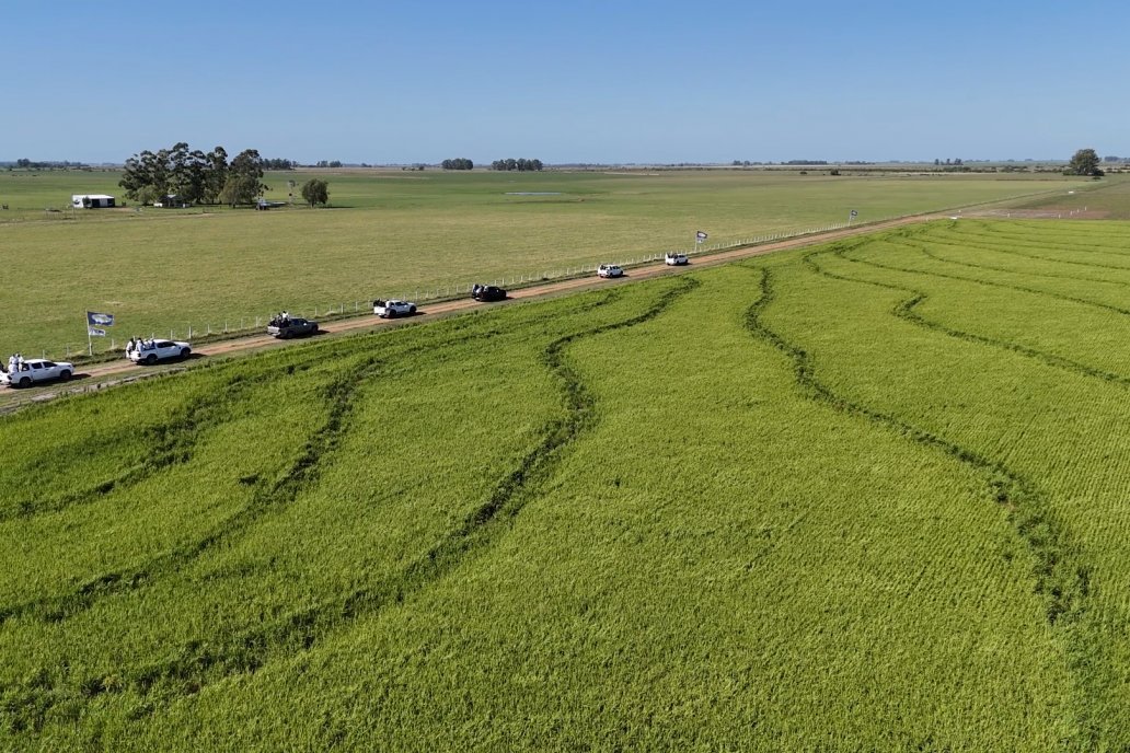 Postales del Día de Campo de Arroz de Fundación Proarroz - San Salvador, Entre Ríos