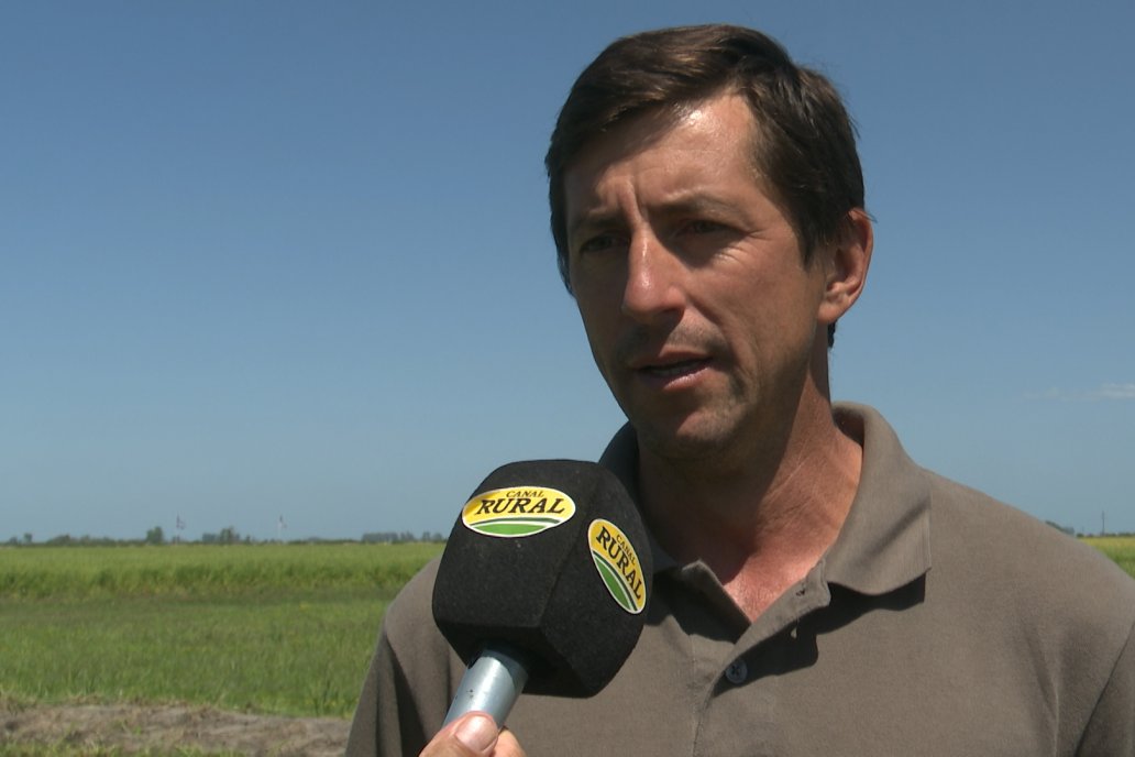 Postales del Día de Campo de Arroz de Fundación Proarroz - San Salvador, Entre Ríos