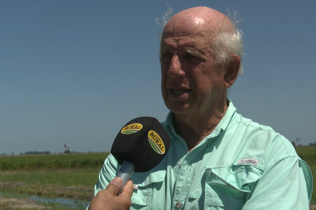 Postales del Día de Campo de Arroz de Fundación Proarroz - San Salvador, Entre Ríos