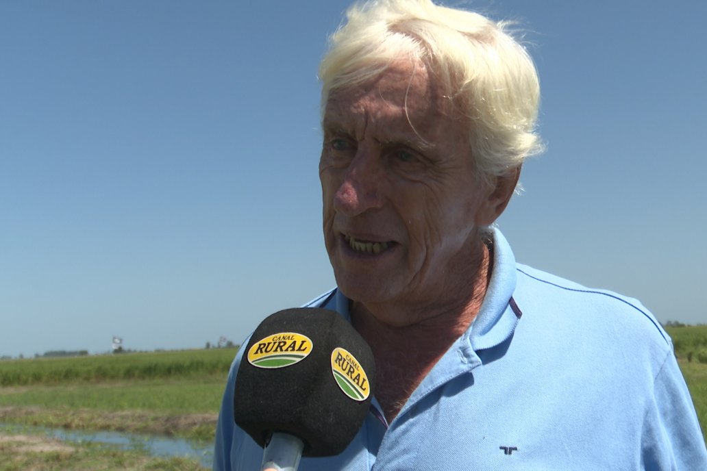 Postales del Día de Campo de Arroz de Fundación Proarroz - San Salvador, Entre Ríos