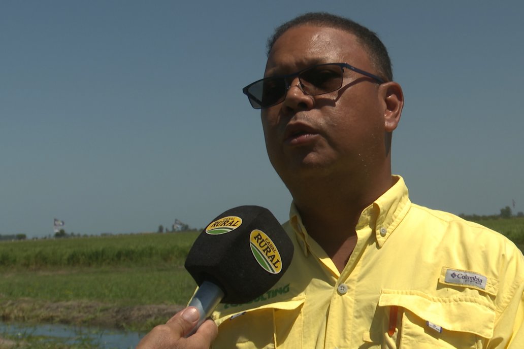 Postales del Día de Campo de Arroz de Fundación Proarroz - San Salvador, Entre Ríos