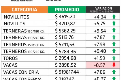 El valor de la hacienda en pie sigue entonado en la provincia