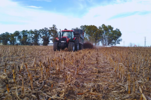 Con estiércol mejoran hasta un 26% los rindes de los cultivos