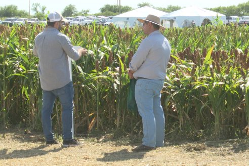 Primera Expo La Ganadera - Establecimiento El Solar - Ramirez, Entre Ríos