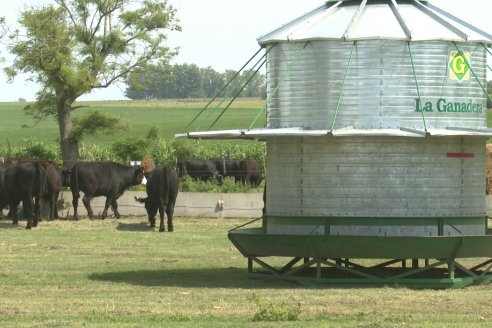 Primera Expo La Ganadera - Establecimiento El Solar - Ramirez, Entre Ríos