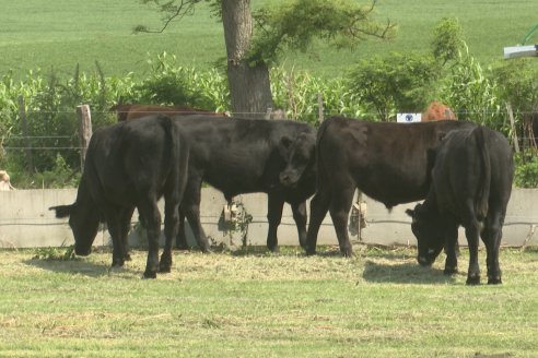 Primera Expo La Ganadera - Establecimiento El Solar - Ramirez, Entre Ríos