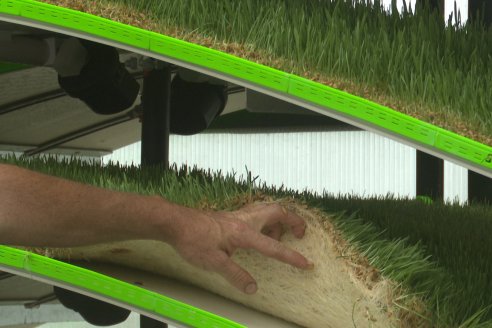 Primera Expo La Ganadera - Establecimiento El Solar - Ramirez, Entre Ríos