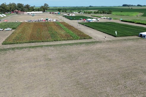 Primera Expo La Ganadera - Establecimiento El Solar - Ramirez, Entre Ríos