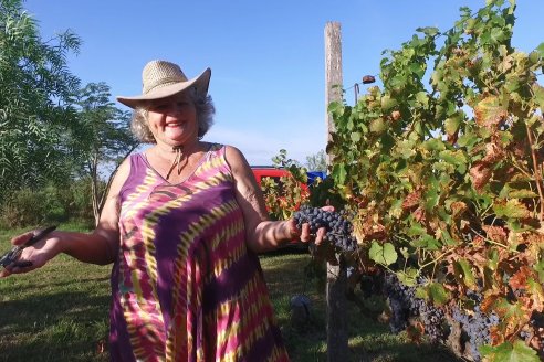 Jornada de Vendimia en Bodega Juan Girbich - Aldea Jacobi, Entre Ríos