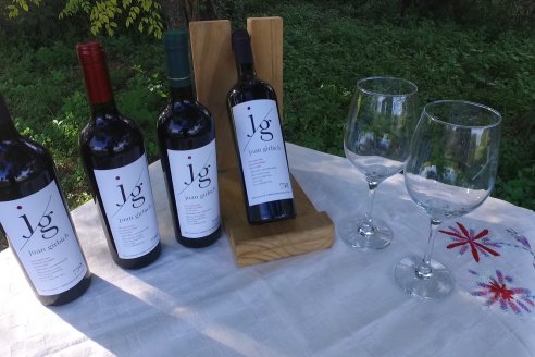 Jornada de Vendimia en Bodega Juan Girbich - Aldea Jacobi, Entre Ríos