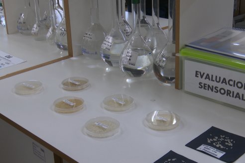 1° Tour Productivo 2026 de AEPA - Visita a la EEA INTA C.del Uruguay