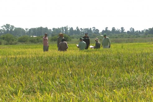 1° Tour Productivo 2026 de AEPA - Visita a la EEA INTA C.del Uruguay
