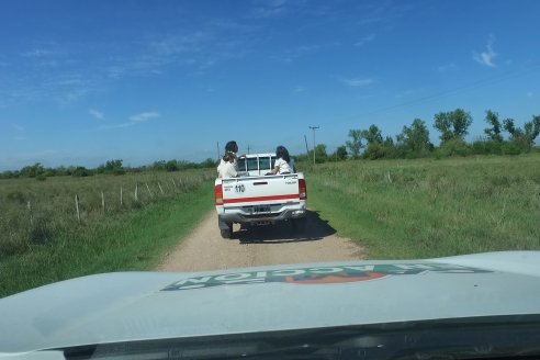 1° Tour Productivo 2026 de AEPA - Visita a la EEA INTA C.del Uruguay
