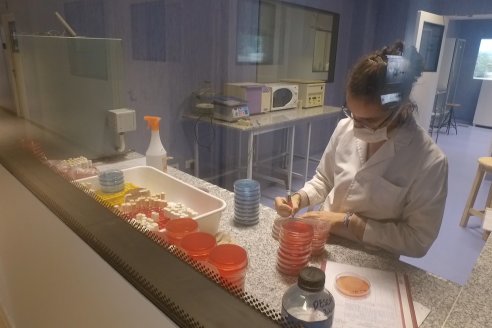 1° Tour Productivo 2026 de AEPA - Visita a la EEA INTA C.del Uruguay