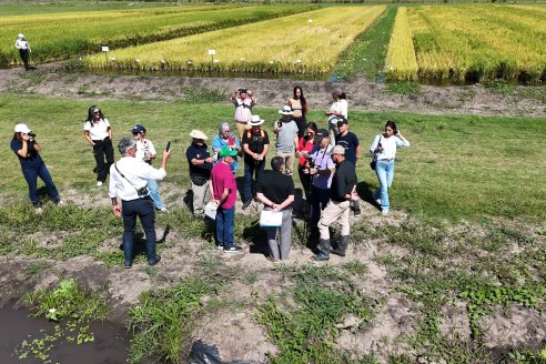 1° Tour Productivo 2026 de AEPA - Visita a la EEA INTA C.del Uruguay