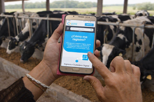 Córdoba puso en marcha el Registro Oficial lechero desde una app