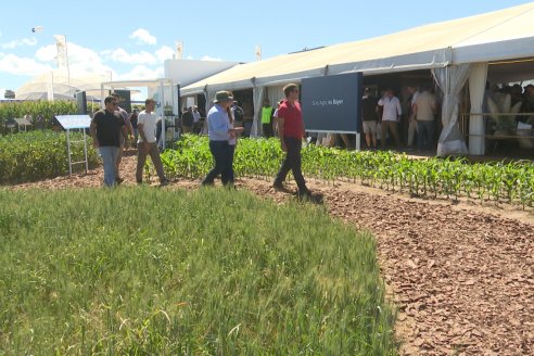 POSTALES EXPOAGRO 2026 - Parte 1