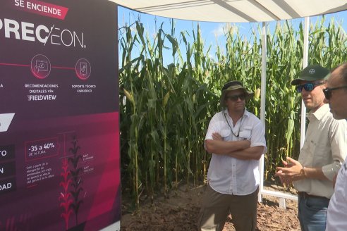 Stegman: "Trajimos la mirada integrada de Bayer, sobre como miramos al sistema productivo"