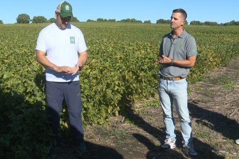 Recorrida Sojera Pioneer en Establ. San Alfonso en Colonia Ensayo, Entre Ríos
