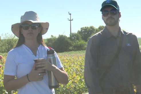 Recorrida Sojera Pioneer en Establ. San Alfonso en Colonia Ensayo, Entre Ríos