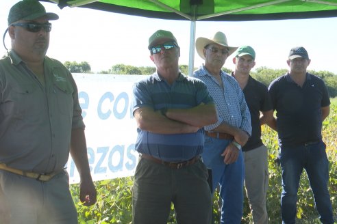 Recorrida Sojera Pioneer en Establ. San Alfonso en Colonia Ensayo, Entre Ríos