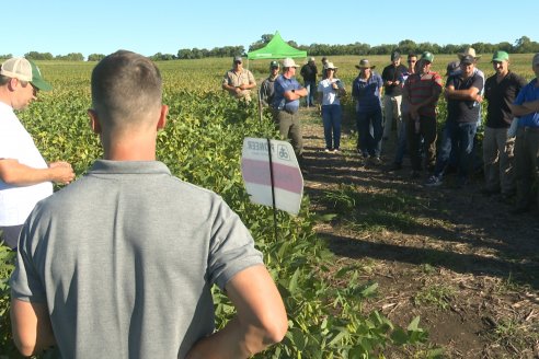 Recorrida Sojera Pioneer en Establ. San Alfonso en Colonia Ensayo, Entre Ríos