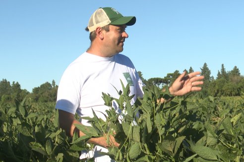 Recorrida Sojera Pioneer en Establ. San Alfonso en Colonia Ensayo, Entre Ríos