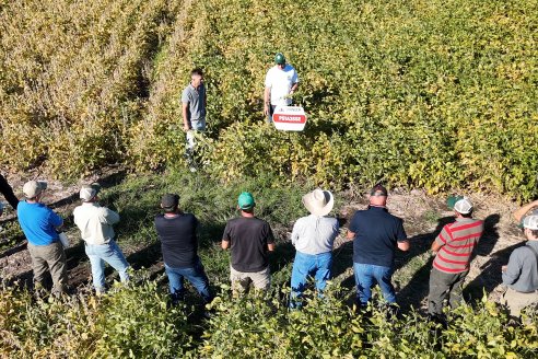 Recorrida Sojera Pioneer en Establ. San Alfonso en Colonia Ensayo, Entre Ríos