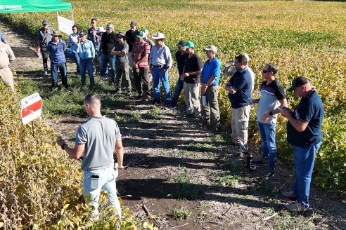 Recorrida Sojera Pioneer en Establ. San Alfonso en Colonia Ensayo, Entre Ríos