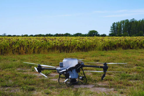 Expertos confirman que los drones potencian el rendimiento agrícola