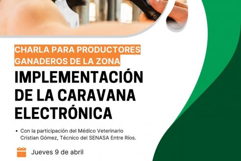 Implementación de caravana electrónica