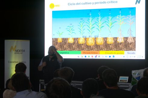 Jornada Técnica CAMPO LIDER NIDERA - AGRINSUR SRL   Gilbert, Entre Ríos