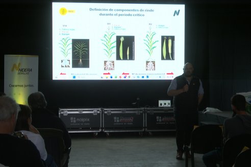 Jornada Técnica CAMPO LIDER NIDERA - AGRINSUR SRL   Gilbert, Entre Ríos