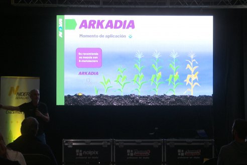 Jornada Técnica CAMPO LIDER NIDERA - AGRINSUR SRL   Gilbert, Entre Ríos