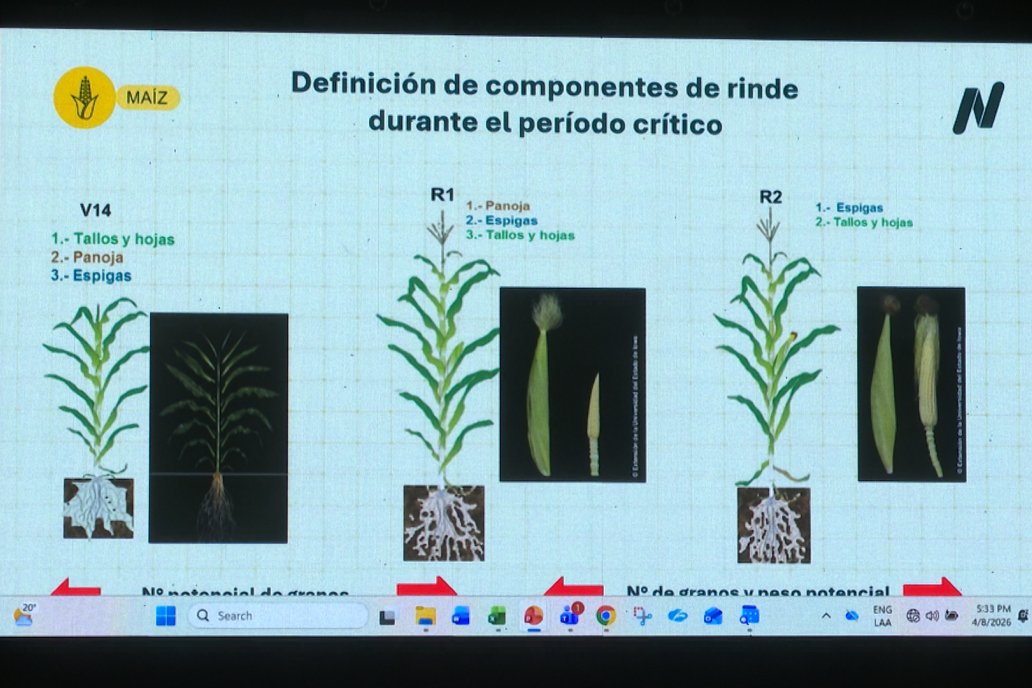 Jornada Técnica CAMPO LIDER NIDERA - AGRINSUR SRL   Gilbert, Entre Ríos