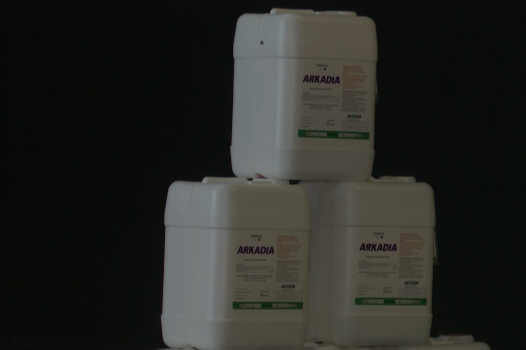 Jornada Técnica CAMPO LIDER NIDERA - AGRINSUR SRL   Gilbert, Entre Ríos