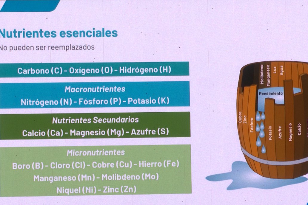 Jornada Técnica CAMPO LIDER NIDERA - AGRINSUR SRL   Gilbert, Entre Ríos