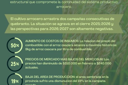 Arroceros dejan de vender su producto en señal de protesta