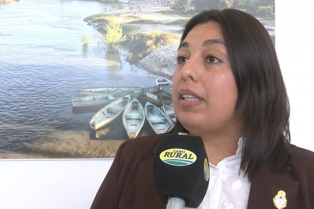 Encuentro Federal de CampoLimpio en Entre Ríos - Centro Provincial de Convenciones, Paraná