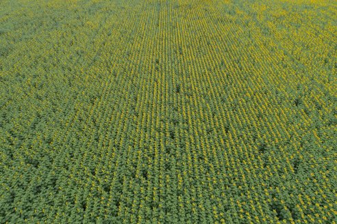 Advanta propone excelentes alternativas para tomar ventaja de un mercado atractivo